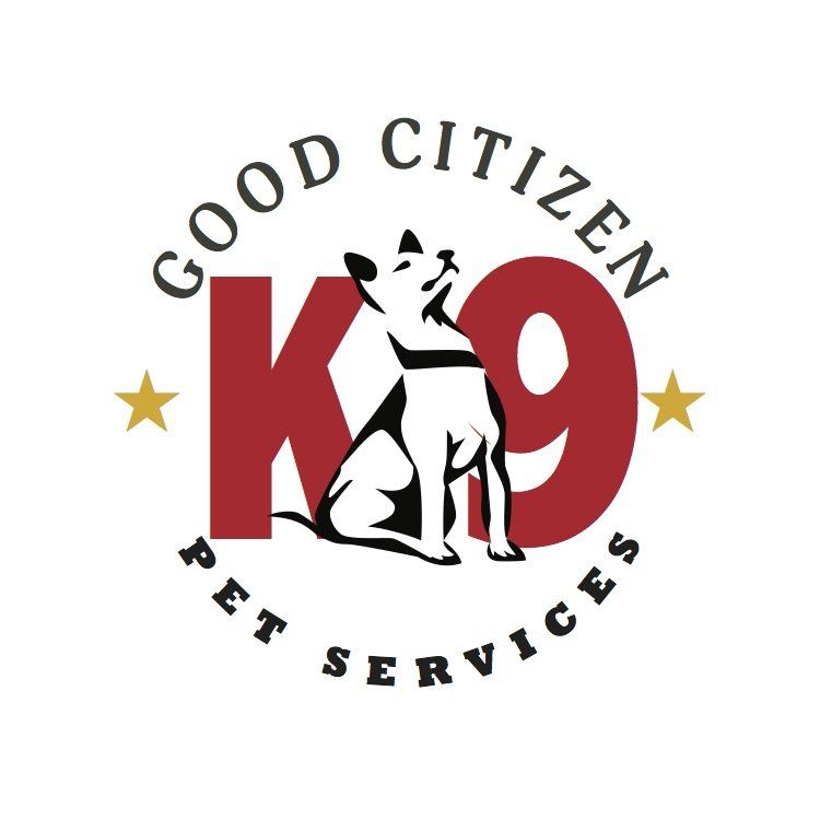 K9 good hot sale citizen training